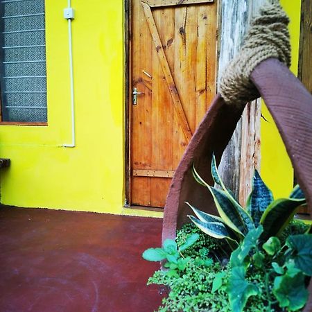 Shanka Lodge Zanzibar Kizimkazi Zewnętrze zdjęcie