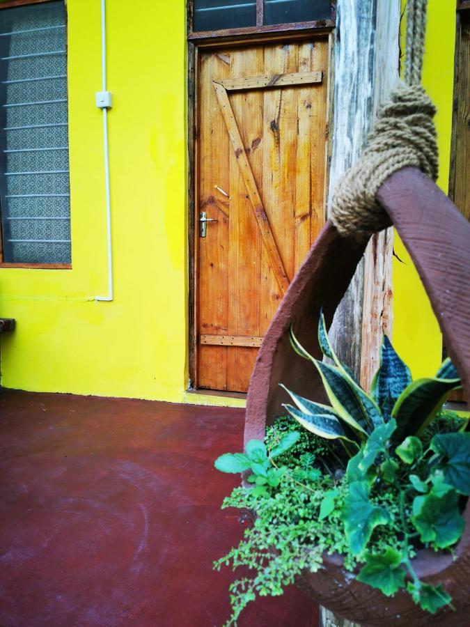 Shanka Lodge Zanzibar Kizimkazi Zewnętrze zdjęcie