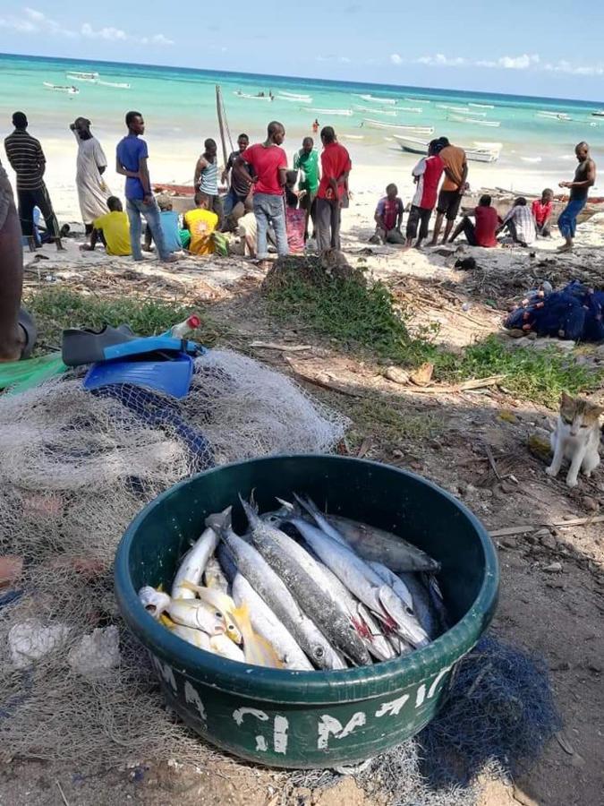 Shanka Lodge Zanzibar Kizimkazi Zewnętrze zdjęcie